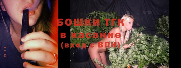 дмт Богданович