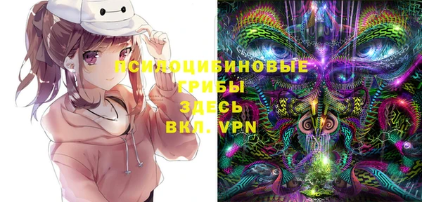 apvp Богородицк