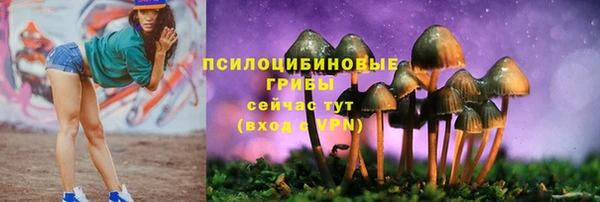 крисы Богородск