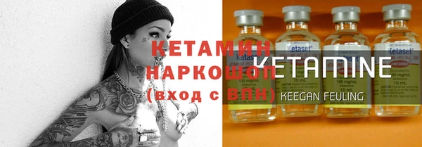 дмт Богданович