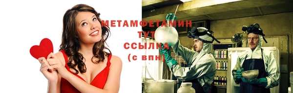 дмт Богданович