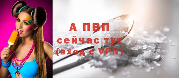 apvp Богородицк