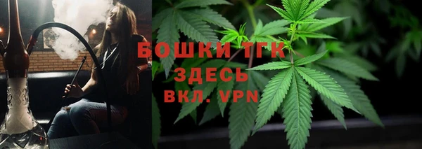 дмт Богданович