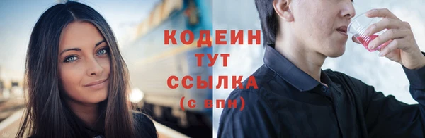 дмт Богданович