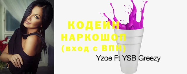 apvp Богородицк