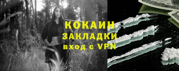 крисы Богородск