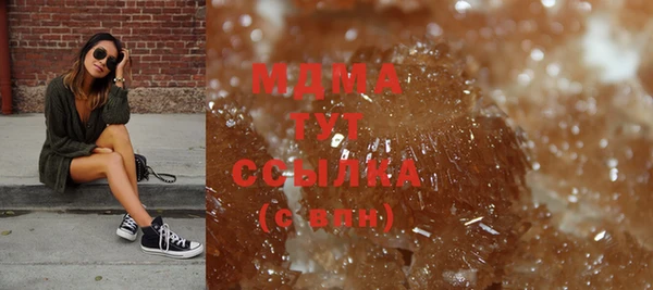 дмт Богданович