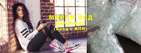 дмт Богданович