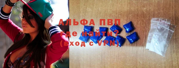 дмт Богданович