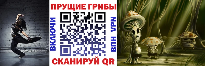OMG ссылка  Шилка  Галлюциногенные грибы MAGIC MUSHROOMS 